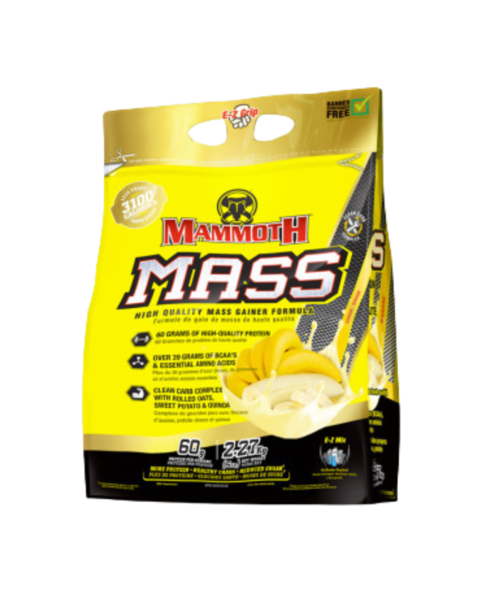 Mammoth Mass 2,2kg